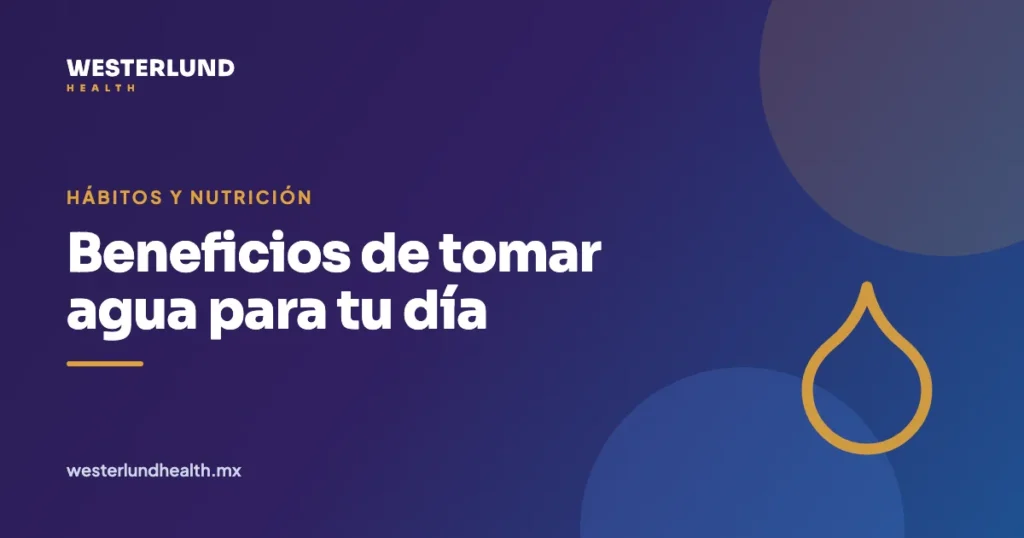 Beneficios de tomar agua para tu día — Westerlund Health